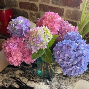 Meet your Posher, Becky